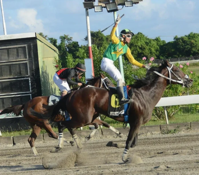 Caballo Founder gana Clásico Aniversario 31