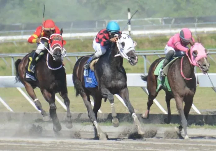 José Villalobos triunfa en el hipódromo.
