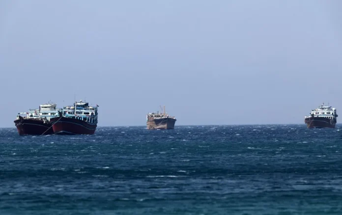 Tres muertes por hantavirus en crucero.